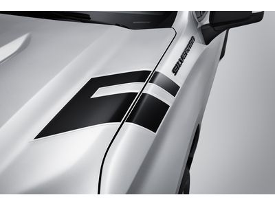 Chevy 84426012 Decal