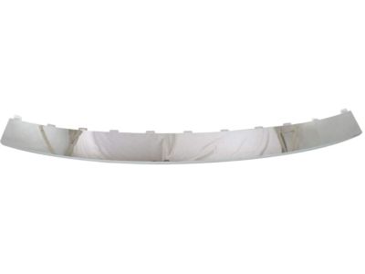 20983444 GM Step Pad Product Photo 1 of 1