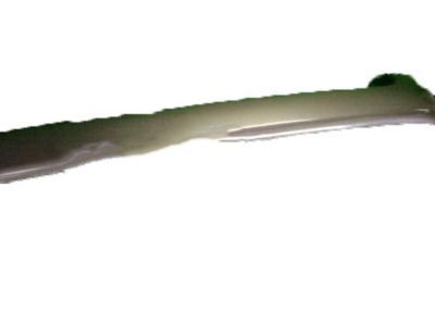 Pontiac Door Moldings - 15919456