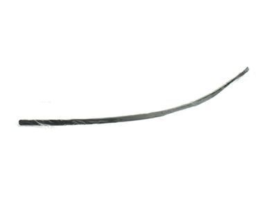 Pontiac Door Moldings - 10321352