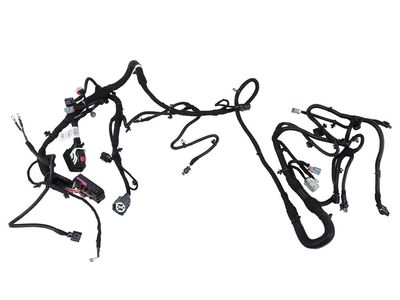 42606778 GM Harness, Capsule/Headlamp/Fog Lamp Product Photo 1 of 1