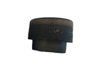 Cadillac DeVille Crossmember Bushing - 25757175