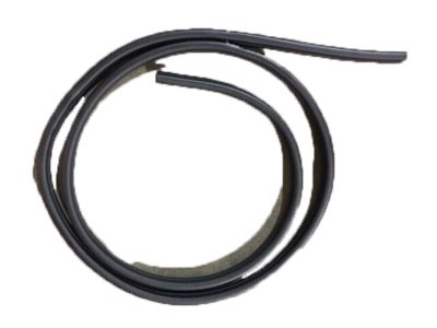GMC Weather Strip - 15169859