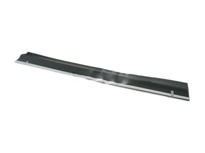 Buick 12374518 Body Side Molding