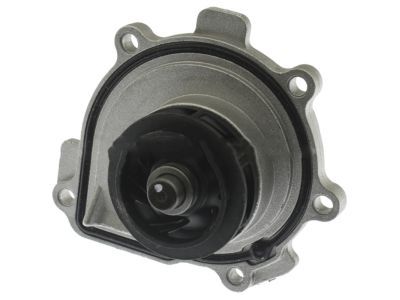 Chevy Sonic Water Pump - 25195119