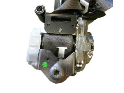 GMC Sierra 1500 Seat Belt - 19351690