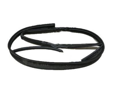 GMC Door Seal - 20789462