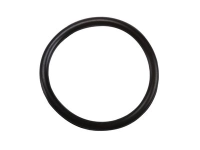 24292808 GM Seal, Transmission Oil Pump Product Photo 2 of 2
