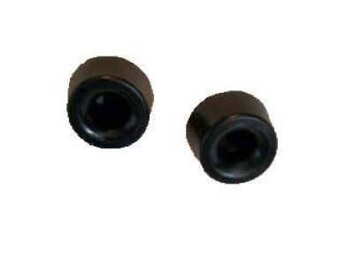 Chevy 14093705 Stopper Cap