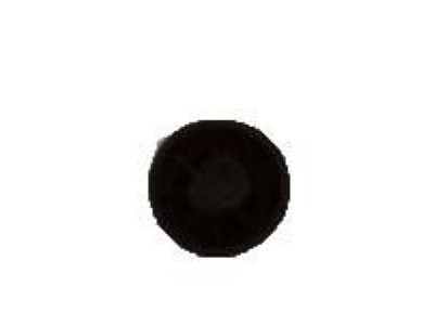 Chevy 14093705 Stopper Cap