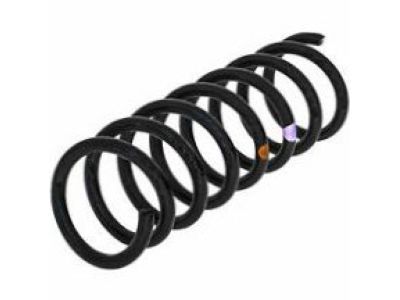 Oldsmobile LSS Coil Springs - 10035259