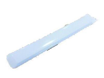 Chevy 25991799 Body Side Molding