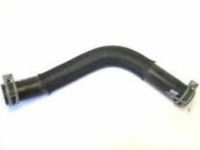 GM 25757838 Lower Hose GM 25757838 Lower Hose
