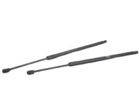GM 23283648 Lift Cylinder, Driver Side GM 23283648 Lift Cylinder, Driver Side