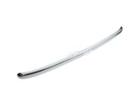 GM 20963700 Front Molding GM 20963700 Front Molding
