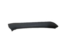 GM 15676806 Molding, Passenger Side GM 15676806 Molding, Passenger Side