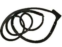 GM 23277123 Surround Weatherstrip, Driver Side GM 23277123 Surround Weatherstrip, Driver Side