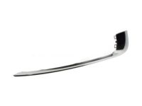 GM 13238373 Molding, Passenger Side