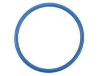 GM 12645181 Seal, Fuel Pump Mounting GM 12645181 Seal, Fuel Pump Mounting