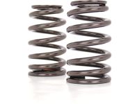 GM 12600774 Valve Springs