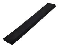 GM 95275365 Lower Molding, Black