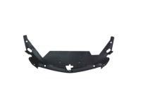 GM 23199234 Sight Shield, Front GM 23199234 Sight Shield, Front