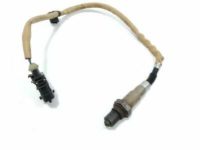 GM 55569903 Oxygen Sensor