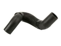 GM 15891668 Lower Hose GM 15891668 Lower Hose