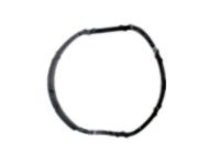 GM 25189205 Thermostat Seal, Lower GM 25189205 Thermostat Seal, Lower