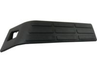 GM 15647617 Step Pad, Rear Driver Side