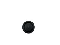 GM 15598652 Plug, Rear Intermediate Side Door GM 15598652 Plug, Rear Intermediate Side Door