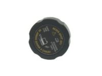 GM 15076936 Reservoir Cap