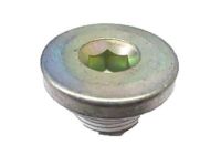 GM 11588880 Plug, Engine Cylinder Head