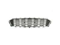 GM 84189628 Center Grille, Black, Front
