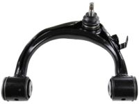 GM 92191347 Frame Molding