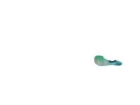GM 10220975 Rocker Molding Retainer