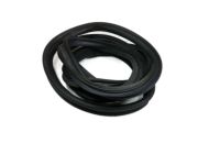Buick LeSabre Weather Strip - 25735039 Weatherstrip, Rear