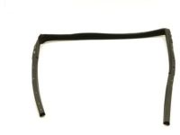 GM 15960868 Window Channel, Passenger Side
