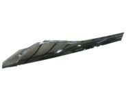 GM 23163510 Applique, Front Passenger Side