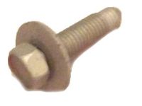 GM 11516600 License Lamp Bolt