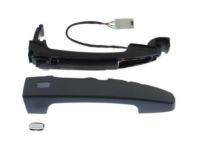 GM 13521820 Handle, Outside, Front GM 13521820 Handle, Outside, Front