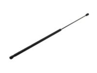 GM 25931541 Lift Cylinder