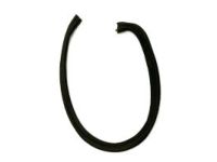 GM 20963564 Front Weatherstrip GM 20963564 Front Weatherstrip
