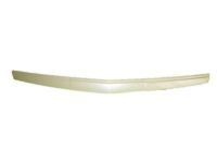 GM 22956470 Front Molding, Black GM 22956470 Front Molding, Black