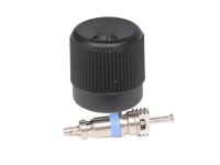 GM 12570619 Service Valve GM 12570619 Service Valve