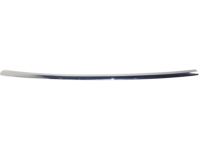 GM 20982428 Step Pad GM 20982428 Step Pad