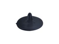 GM 21039129 Insulator Clip, Driver Side GM 21039129 Insulator Clip, Driver Side