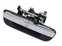Chevrolet Colorado Tailgate Handle - 25954875 Handle