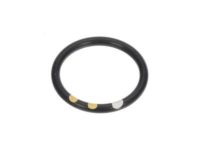 GM 10189205 Pipe Seal