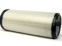 Chevrolet Express 1500 Parts - 22909882 Air Filter